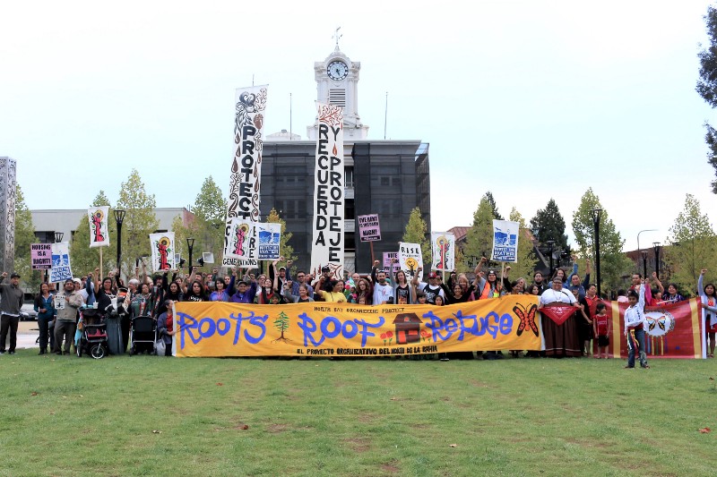 a group of about 100 people posing together on a green grass lawn with their fists in the air. they are holding banners that read "roots, roof, refuge" and "protect" and "recuerda y proteje". 