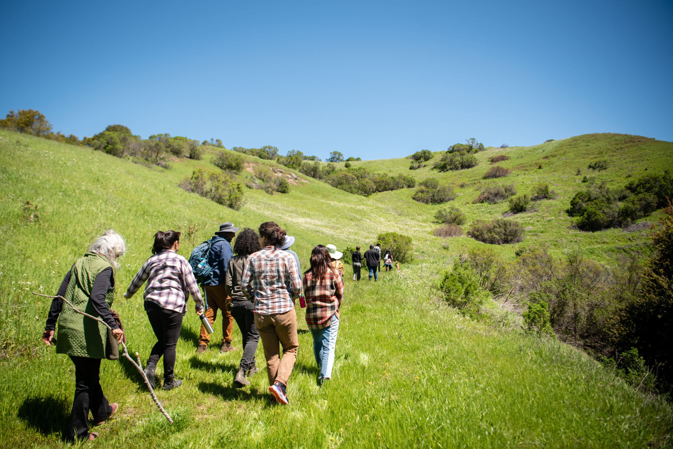 A landscape photo of a grassy green hill against a blue sky.  A group of people walk  on the hill with their backs to the camera. Photo credit: Brooke Anderson / @movementphotographer.